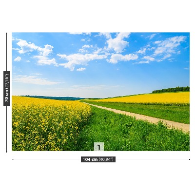 Mural de parede Campo de colza