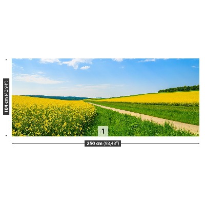 Mural de parede Campo de colza