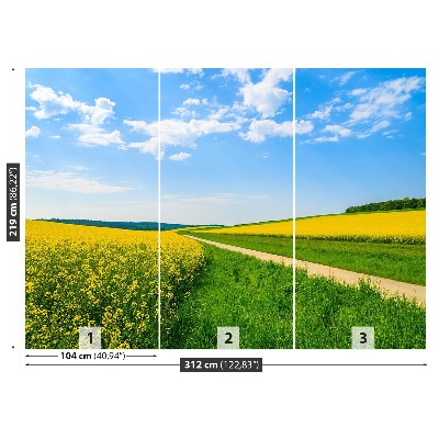 Mural de parede Campo de colza