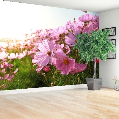 Papel de parede Flor de cosmos