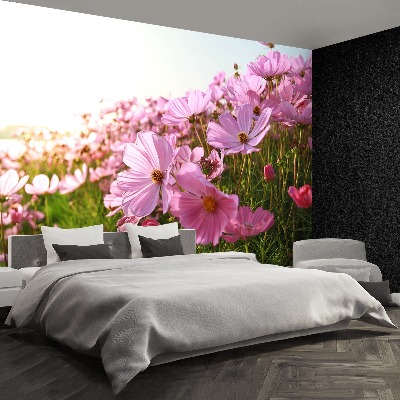 Papel de parede Flor de cosmos