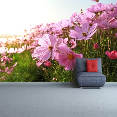Papel de parede Flor de cosmos