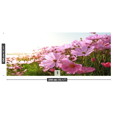 Papel de parede Flor de cosmos