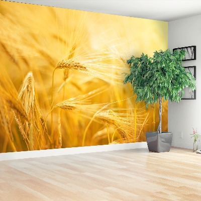 Mural de parede Campo de trigo