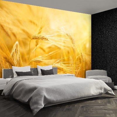 Mural de parede Campo de trigo