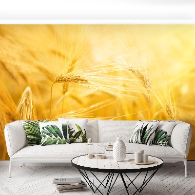 Mural de parede Campo de trigo