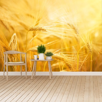 Mural de parede Campo de trigo
