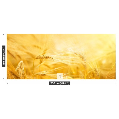 Mural de parede Campo de trigo