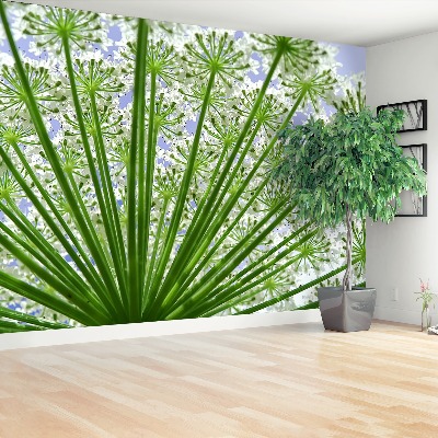 Papel de parede Borscht