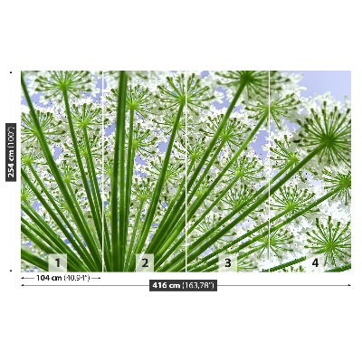 Papel de parede Borscht