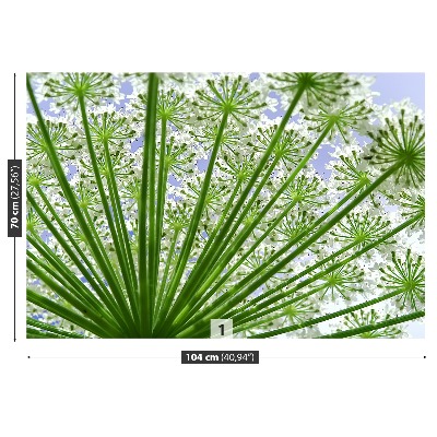 Papel de parede Borscht