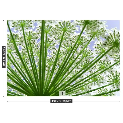 Papel de parede Borscht