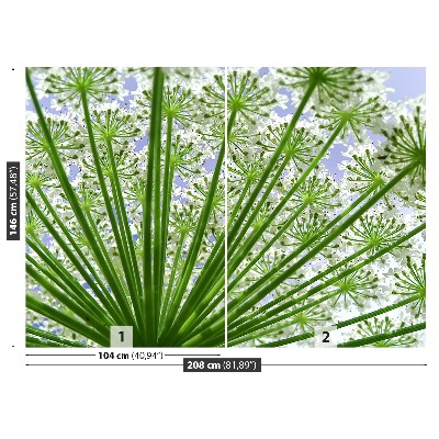 Papel de parede Borscht