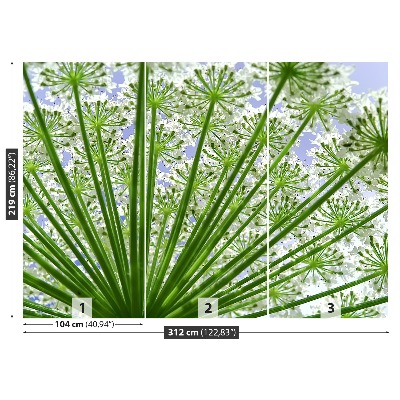 Papel de parede Borscht