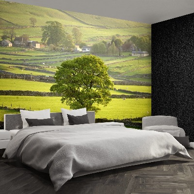 Papel de parede Inglaterra Derbyshire