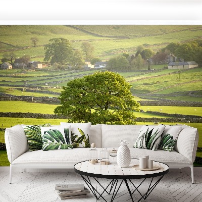 Papel de parede Inglaterra Derbyshire