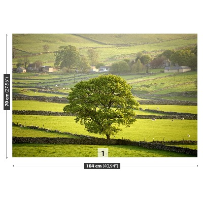 Papel de parede Inglaterra Derbyshire