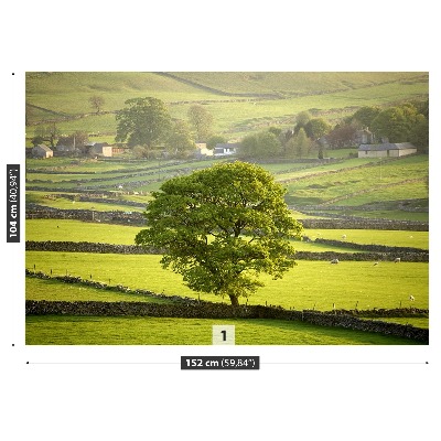 Papel de parede Inglaterra Derbyshire