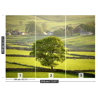 Papel de parede Inglaterra Derbyshire