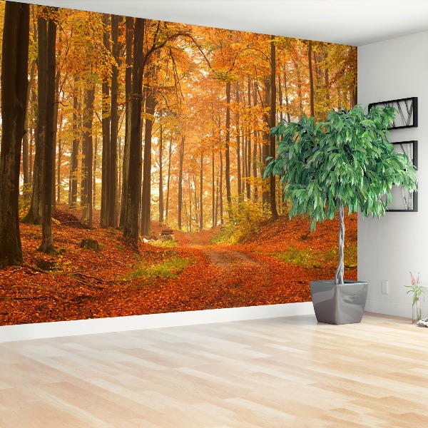 Papel de parede Floresta no outono