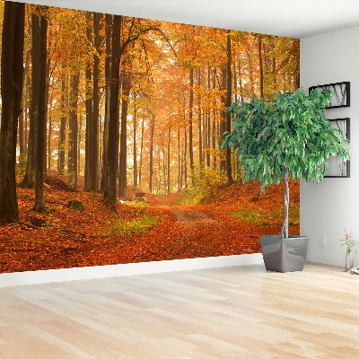 Papel de parede Floresta no outono