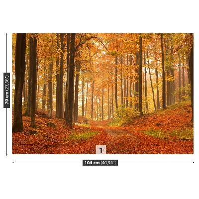 Papel de parede Floresta no outono