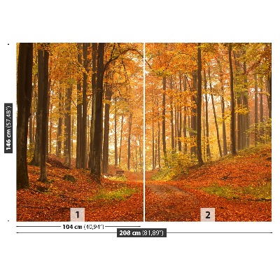 Papel de parede Floresta no outono