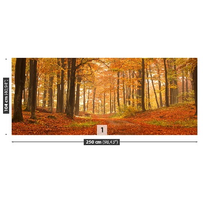 Papel de parede Floresta no outono