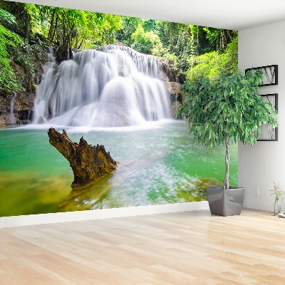 Mural de parede Cachoeira na floresta