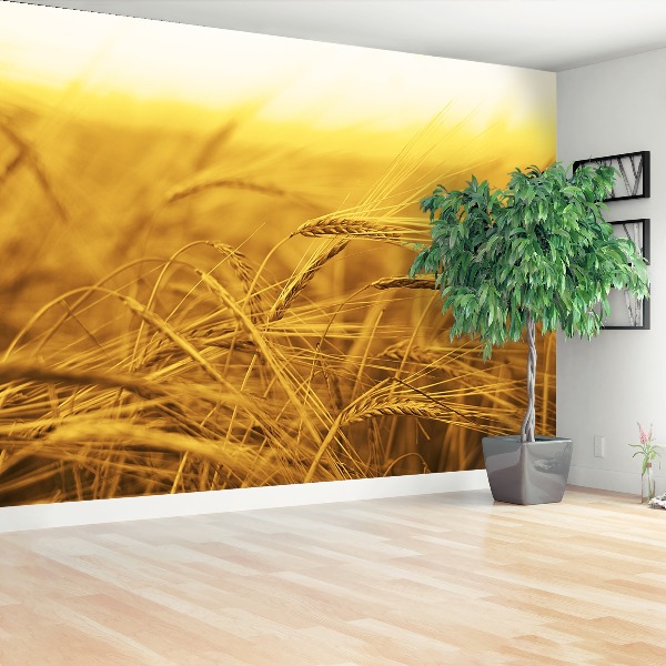 Papel de parede Campo de trigo