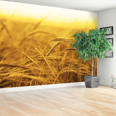 Papel de parede Campo de trigo