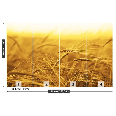 Papel de parede Campo de trigo