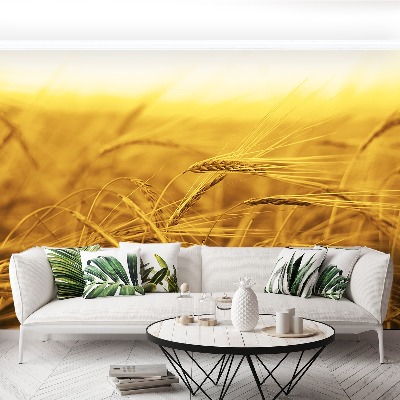 Papel de parede Campo de trigo