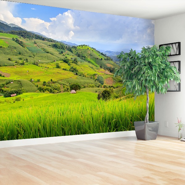 Papel de parede Campo de arroz