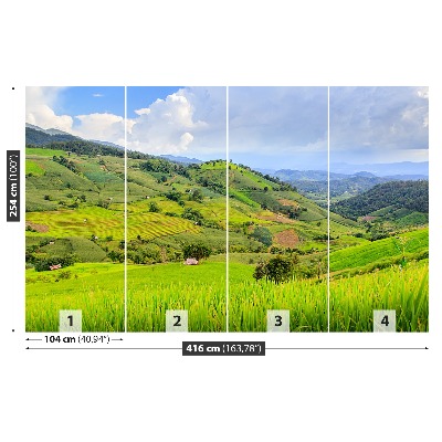 Papel de parede Campo de arroz
