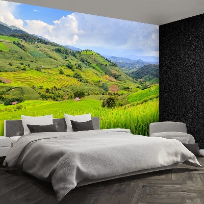 Papel de parede Campo de arroz