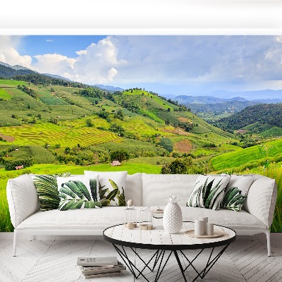 Papel de parede Campo de arroz