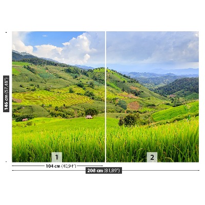 Papel de parede Campo de arroz