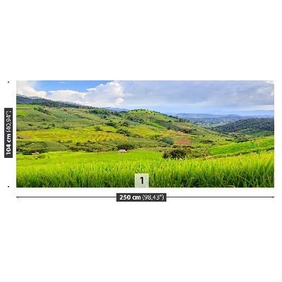 Papel de parede Campo de arroz