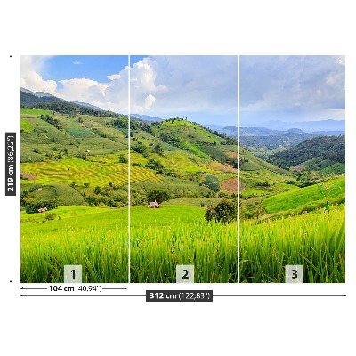 Papel de parede Campo de arroz