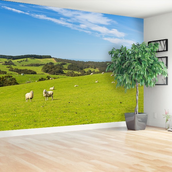 Papel de parede Campo de Ovelhas