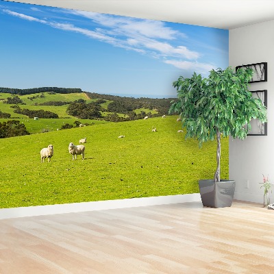 Papel de parede Campo de Ovelhas