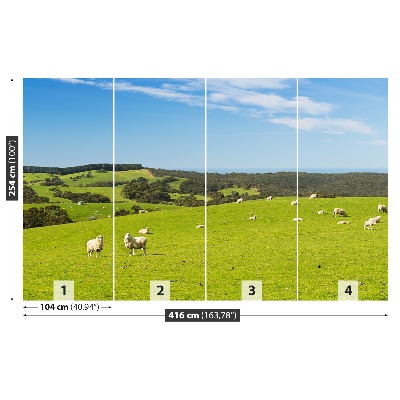 Papel de parede Campo de Ovelhas