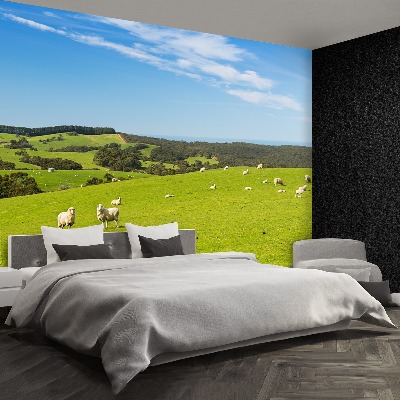 Papel de parede Campo de Ovelhas