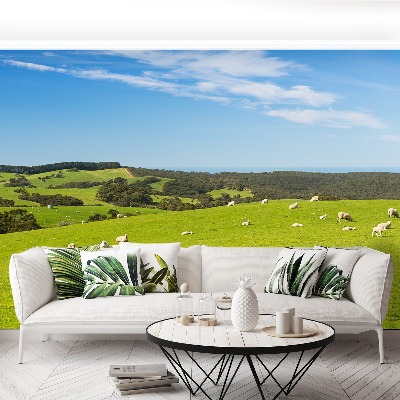 Papel de parede Campo de Ovelhas