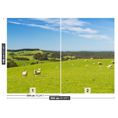 Papel de parede Campo de Ovelhas