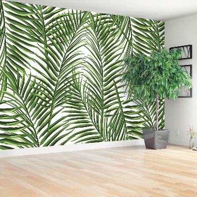 Mural de parede Folhas de palmeira