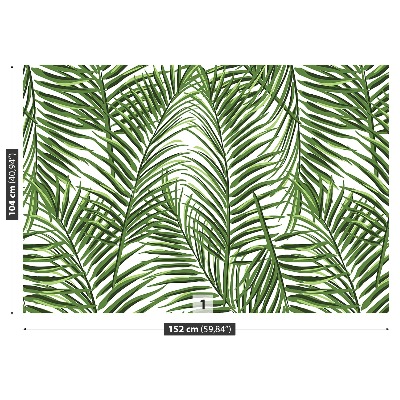 Mural de parede Folhas de palmeira