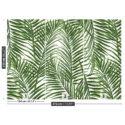 Mural de parede Folhas de palmeira