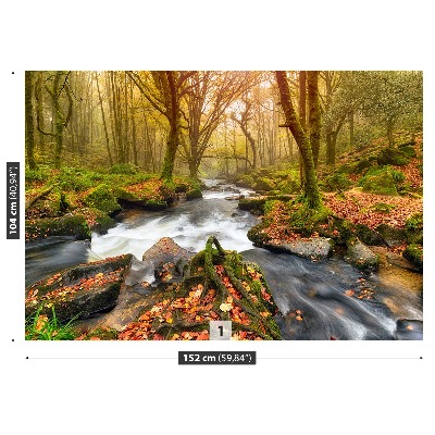 Mural de parede Floresta do Rio